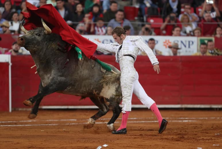 Octavio García 'El Payo' encabeza esta tremenda corrida en la que los invitados especiales serán los niños laguneros.
