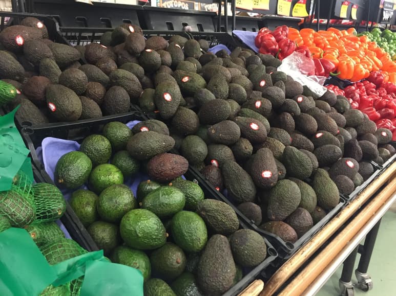 El precio del aguacate sigue en aumento, sin embargo, el limón mantiene a la baja su precio. (EL SIGLO DE TORREÓN)