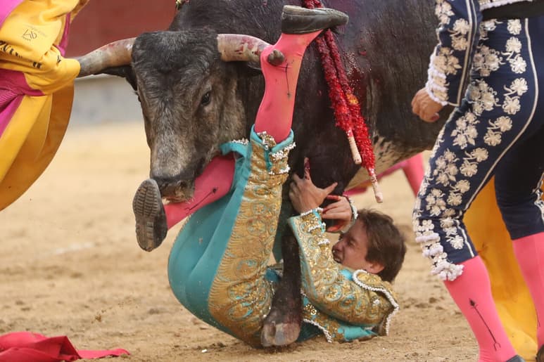 Cornada para Arturo Gilio en Las Ventas tras buenas faenas