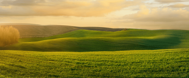 Aplicaciones del análisis de imágenes de satélite para los proveedores de insumos agrícolas. (Imagen: Unsplash)