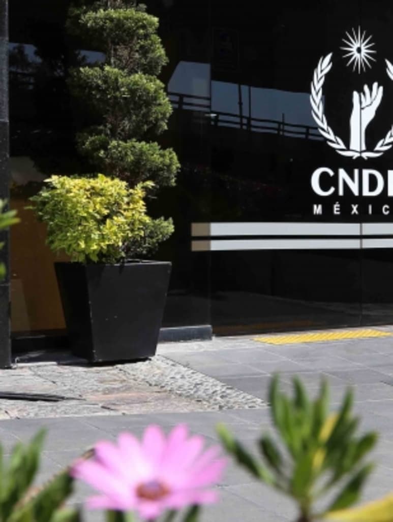 La CNDH coincidió en la necesidad de reconocer el acceso a la interrupción del embarazo, 'en tanto que guarda relación con el bienestar de las mujeres y personas con capacidad de gestar'. (EL SIGLO DE TORREÓN)
