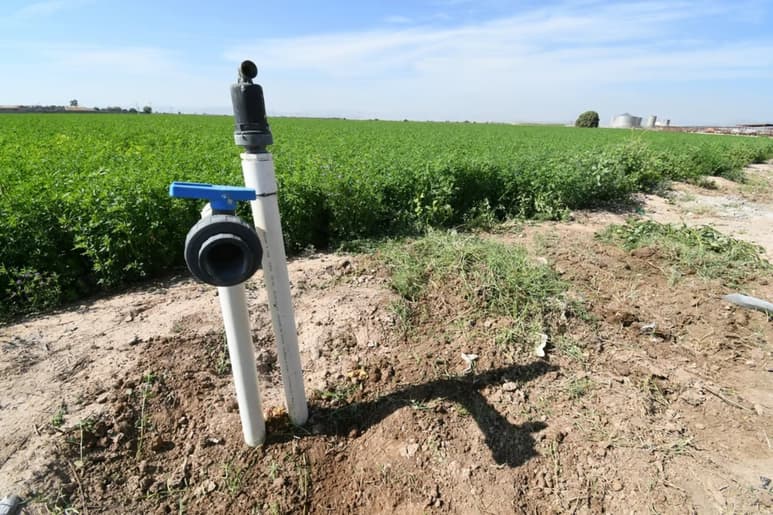 Con los resultados de la prueba piloto se podrá determinar un sistema viable de estimación, tanto de huella hídrica en cultivos como la disponibilidad de agua a nivel de unidad territorial.