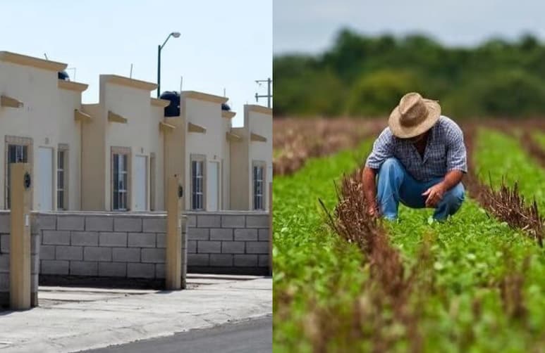 Los nuevos programas que se integran a la lista de apoyos a la población son los de: Mejora a la Vivienda y Fertilizantes.