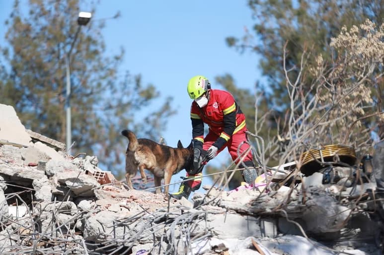 Participaron en las labores de auxilio, rescate de heridos y víctimas, en el terremoto ocurrido en Turquía y Siria. (TWITTER)