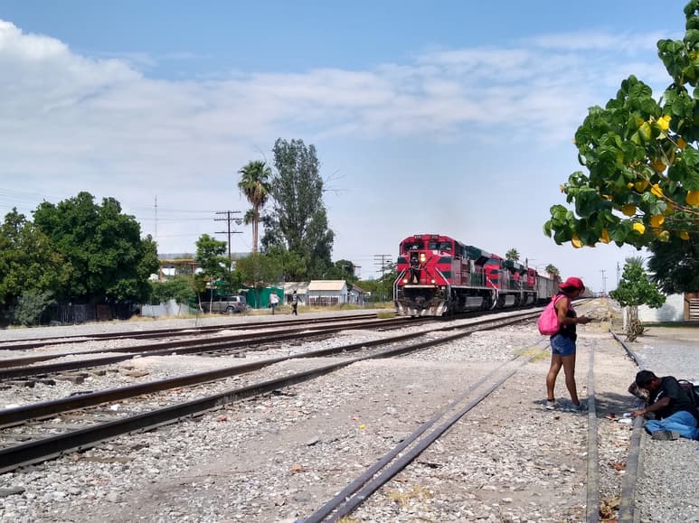 El problema es de varias entidades debido a que estos grupos se desplazan desde el sur de México y atraviesan varios estados dentro del tren.