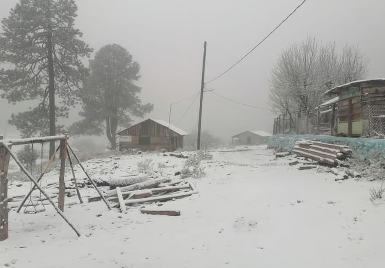 Las nevadas ocurrieron en la región serrana de Durango. (ESPECIAL)