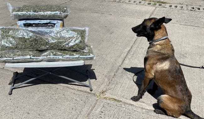 La aparente droga asegurada fue puesta a disposición en las agencias del Ministerio Público de la Federación. (ESPECIAL)