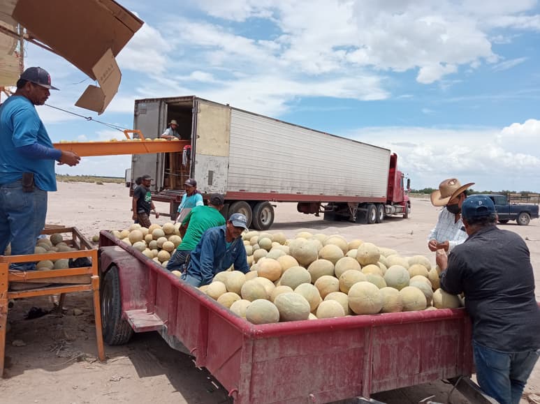 El gobierno estatal creó programas de apoyo a los campesinos. (EL SIGLO COAHUILA)