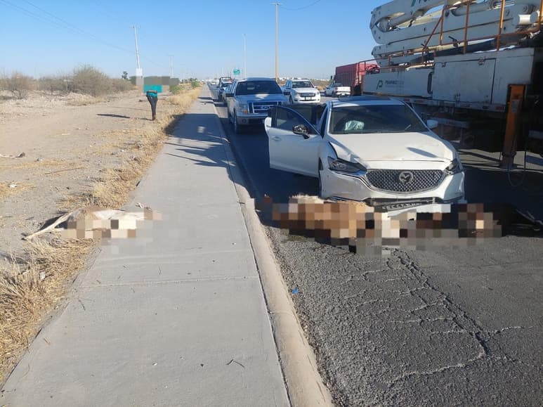 El vehículo impactó un rebaño que cruzaba sobre la carretera a Santa Rita de la ciudad de Gómez Palacio.