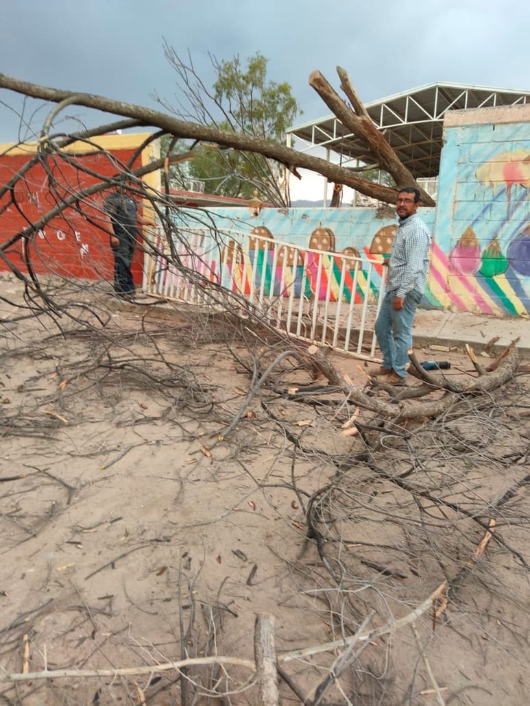 Árboles caídos y suspensión de energía eléctrica se reportó en algunas escuelas de nivel básico de Gómez Palacio y Lerdo.