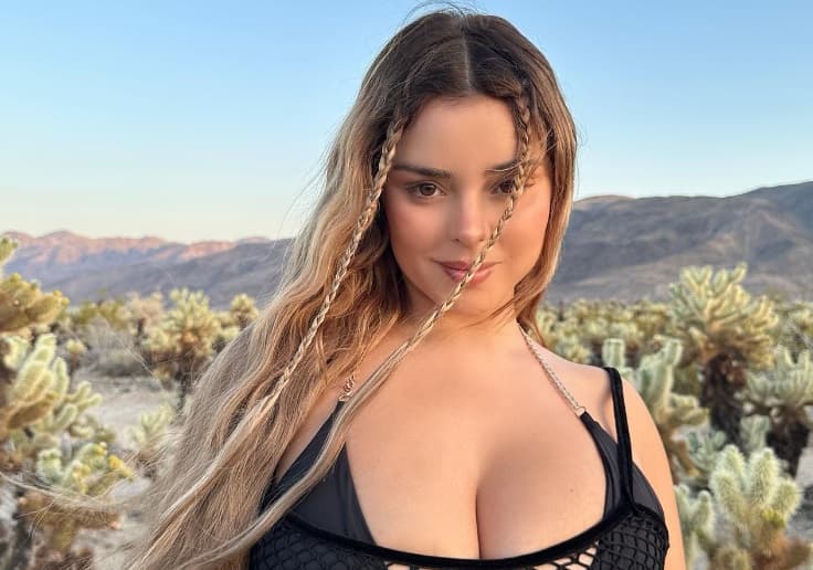 (INSTAGRAM/@DEMIROSE)