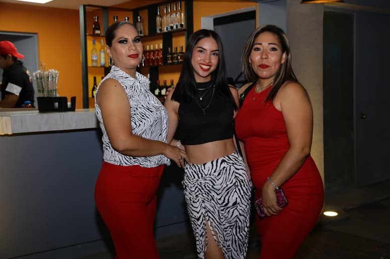 Noches de conciertos