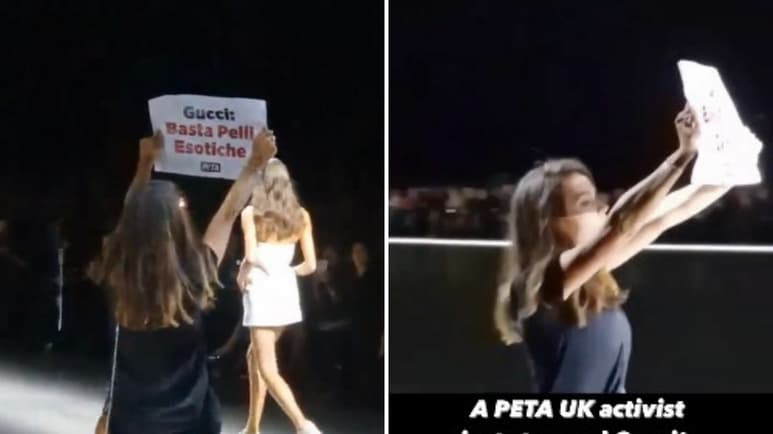 VIRAL: activista de PETA irrumpe en el desfile de Gucci en la Semana de la Moda de Milán