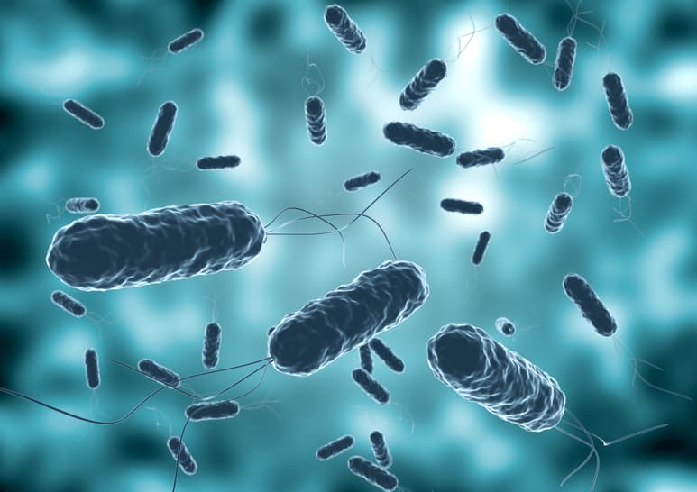 La OMS alerta de un resurgimiento de los casos globales de cólera