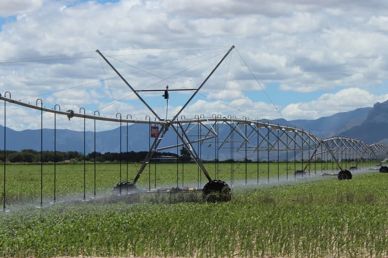 La Cámara Agrícola no ha sido informada sobre tecnificación de riego en módulos del Distrito 017. (EL SIGLO DE TORREÓN)
