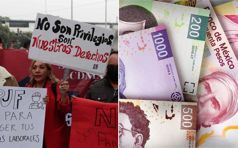 Los 13 fideicomisos a extinguir se distribuyen entre la Suprema Corte de Justicia de la Nación, el Consejo de la Judicatura Federal y el Tribunal Electoral del Poder Judicial de la Federación.