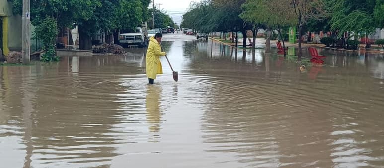 Las colonias en las que históricamente cada vez que llueve se han encharcado son: Las Vegas de Marrufo, El Nogal, Las Hortalizas, La Selvita y El Galeme. (EL SIGLO DE TORREÓN)