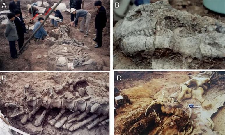 Estos dinosaurios adultos podrían haber medido más de seis metros de longitud y pesado hasta una tonelada. (ESPECIAL)