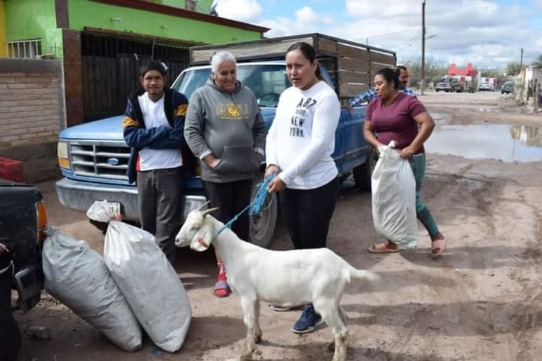 Se entregaron cabras para promover la engorda de ganado para el autoconsumo y con ello ayudar a la economía familiar.