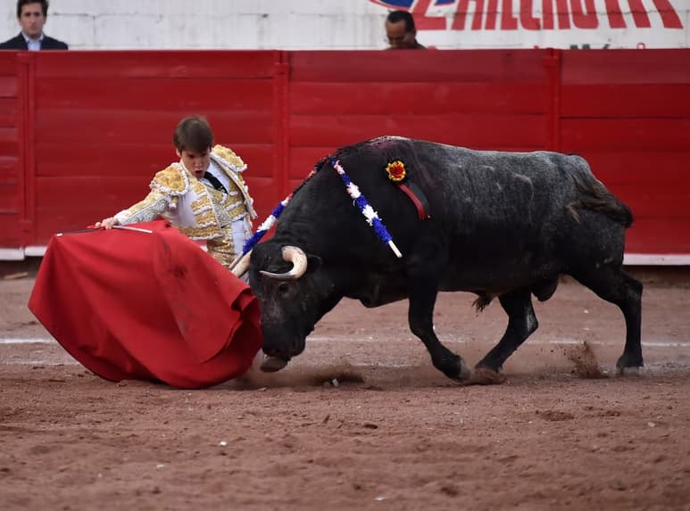 La cancelación fue otorgada por el juzgado 19 de distrito a favor de grupos animalistas, como los promotores del amparo, AnimaNaturalis.