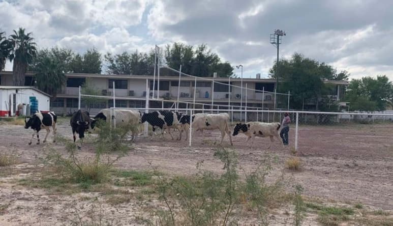 La presencia de una nueva corporación policial, como la Policía Rural, dará más tranquilidad a los productores del campo. (EL SIGLO DE TORREÓN)
