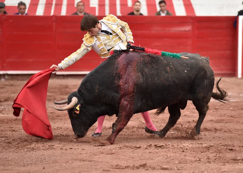 Gran expectación han causado los dos carteles de Feria; Arturo Gilio estará en el del 28 de diciembre junto a Pablo Hermoso y Arturo Saldívar.