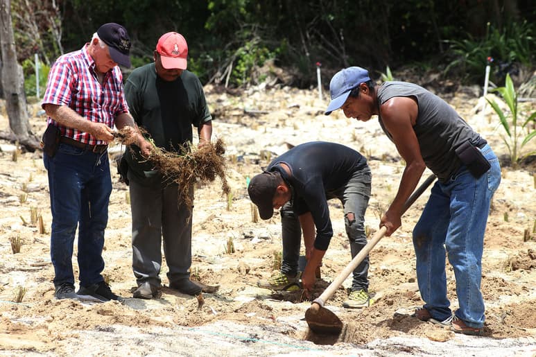 México iniciará trabajos de investigación técnica.