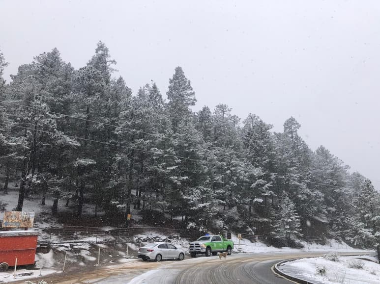 Nieve cae sobre Arteaga. (EL SIGLO DE TORREÓN)