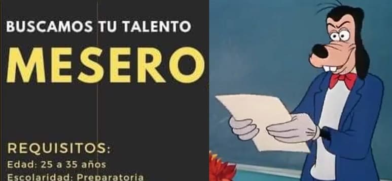 (REDES)
