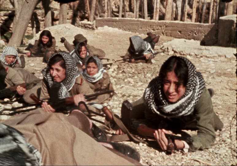 Les Femmes palestiniennes. (ASSOCIATION JOCELYNE SAAB)