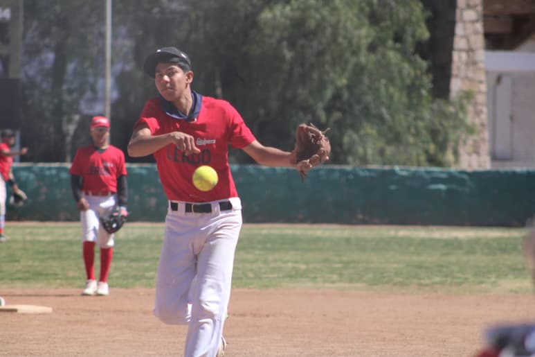 Softbol Lerdo (IED)
