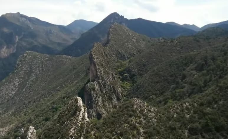 Aún y cuando es muy poco probable que algún visitante llegase a tener algún encuentro con un puma en la Sierra de Zapalinamé y en Coahuila no hay registro de ataques a seres humanos, el director de Protección de la Fauna Mexicana (Profauna), Sergio Marines, expuso que en estos casos es necesario brindar al animal alguna vía de escape, no acercarse, evitar la confrontación y en general respetar a todos las especies silvestres.