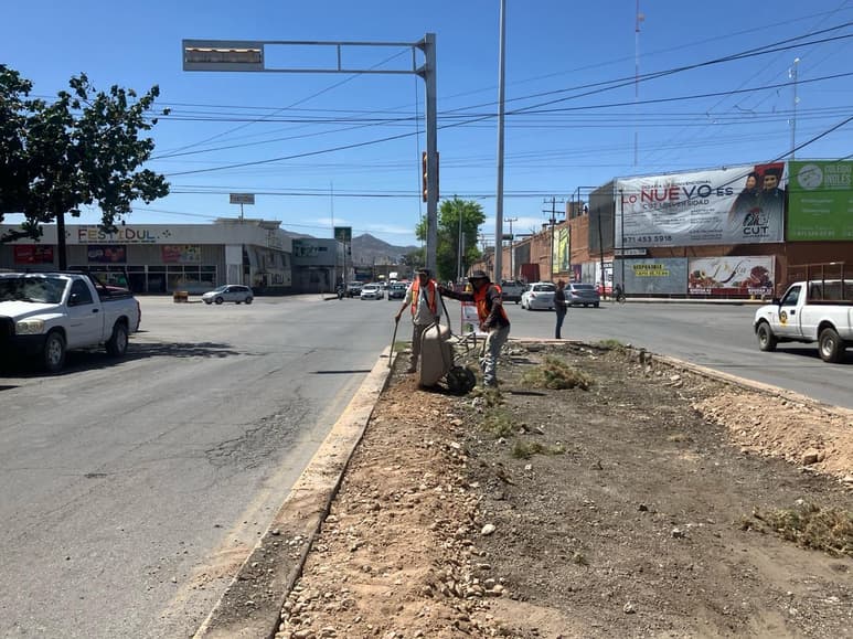 En este tramo de la calzada se encuentran varios árboles secos, prácticamente muertos.