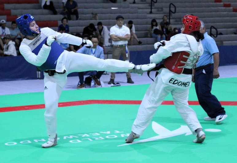 Taekwondo (FMTKD)