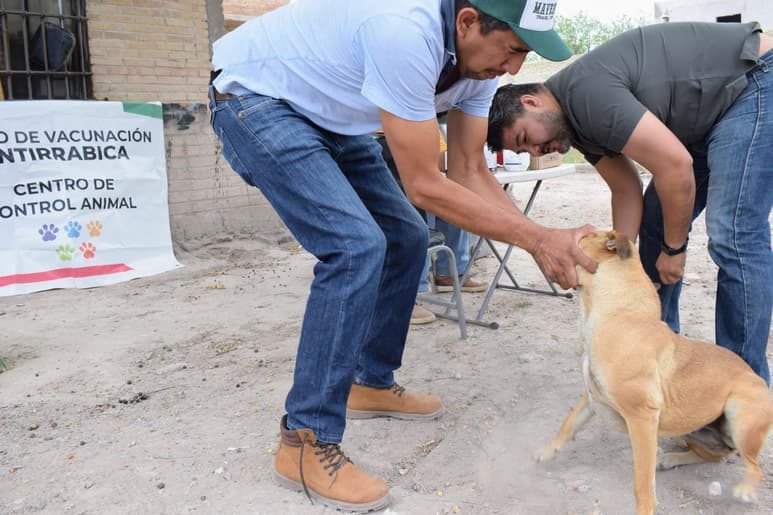 Confunden acciones de prevención para controlar la rabia y rickettsia en el Departamento de Salud en San Pedro