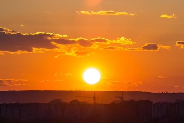Qué alimentos no comer en temporada de calor, según la UNAM