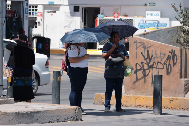 Calor en Torreón. (FABIOLA P. CANEDO)