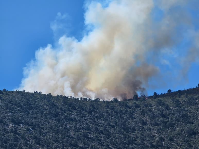 En el último mes, se han registrado al menos 20 conatos de incendio, y a la fecha solo están activos el de Jagüey de Ferniza y Muzquiz.