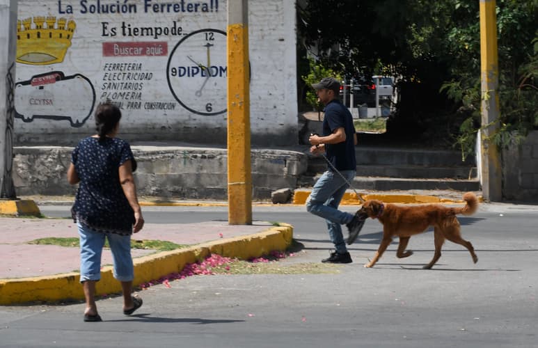 Altas temperaturas. (ARCHIVO)