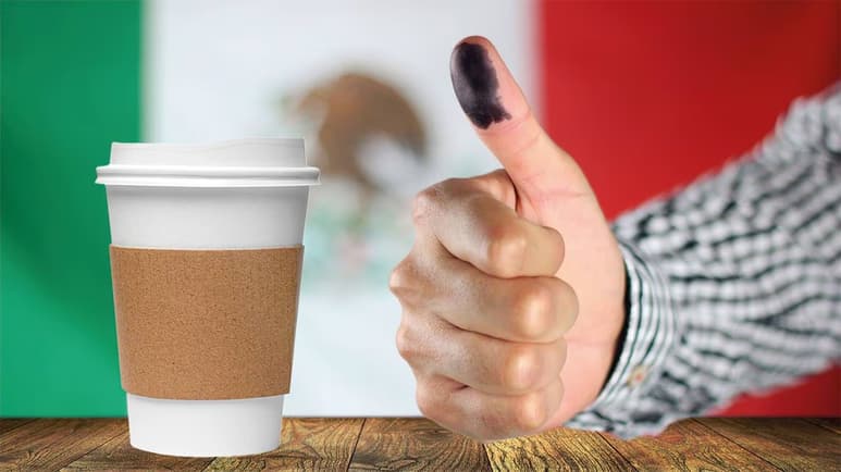 Voto 2024.