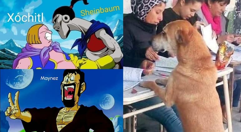 Memes elecciones 2024 (CAPTURA)