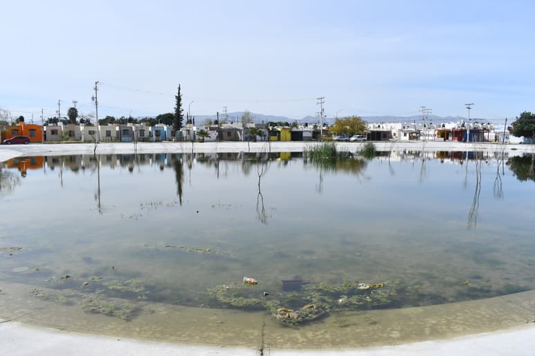 En febrero de este 2024 se identificó un brote en el suroriente del municipio de Torreón, donde se concentraron el 40 % de los 522 casos registrados.