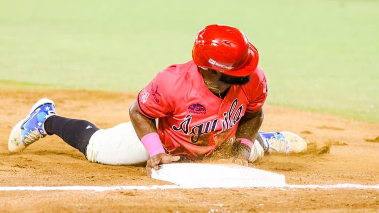 Liga Mexicana de Béisbol.
