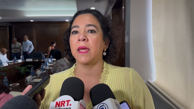 Rosa Nilda González Noriega podría postularse al CDE del PAN