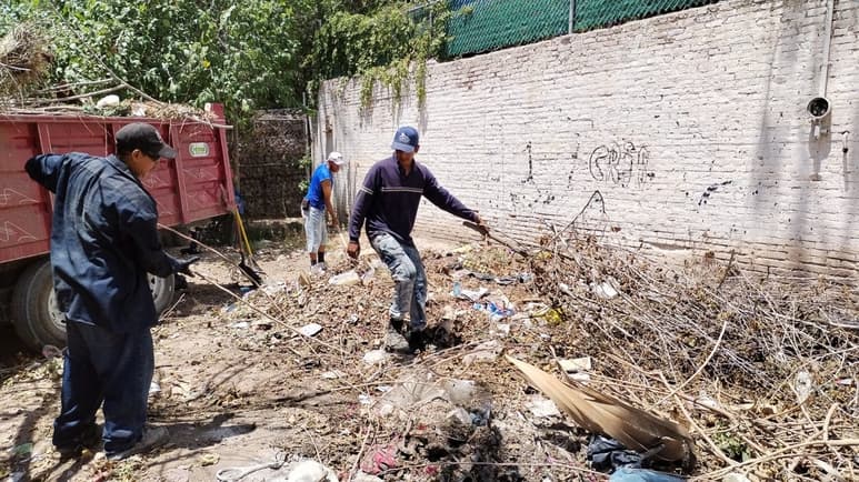 Estos trabajos contribuyen directamente a la salud pública.