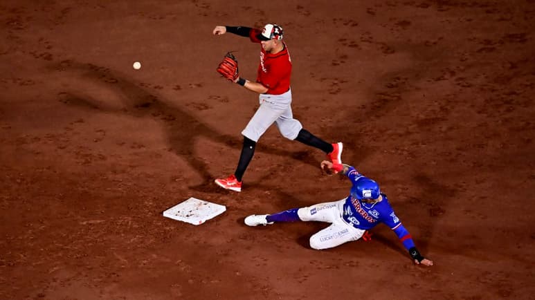 Liga Mexicana de Béisbol.