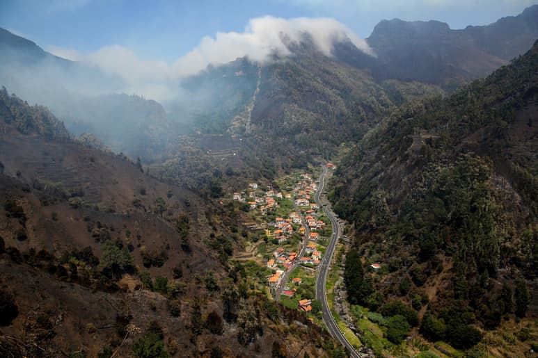 Incendio en Madeira no amenaza el bosque de Laurisilva, patrimonio mundial de la Unesco