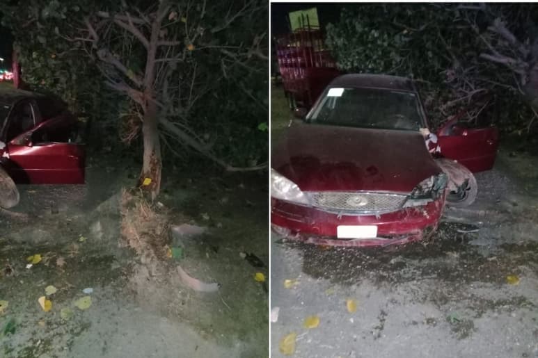 Se lesiona conductor tras impactar contra unas macetas y un árbol en Gómez Palacio