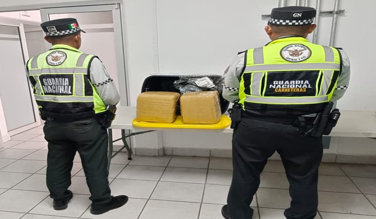 Guardia Nacional asegura más de 10 kg de marihuana en la Terminal de Autobuses de Torreón
