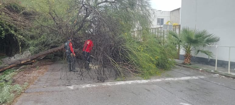 Lluvias en Lerdo.